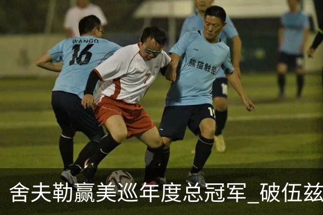 舍夫勒赢美巡年度总冠军 破伍兹长达25年奖金纪录